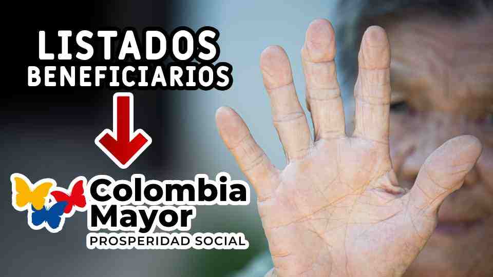 adulto mayor