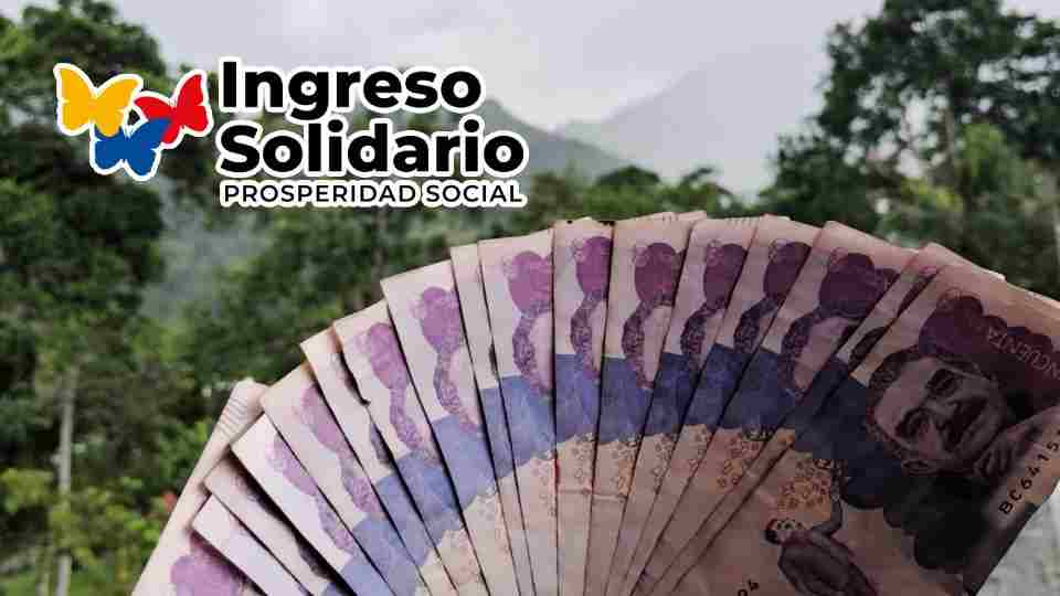 ingreso solidario