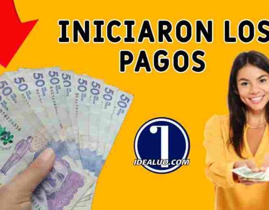 ingreso mínimo garantizado