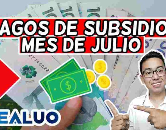 subsidios