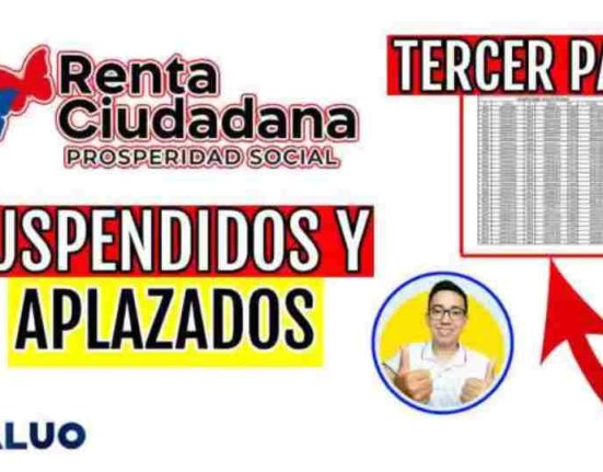 Renta ciudadana