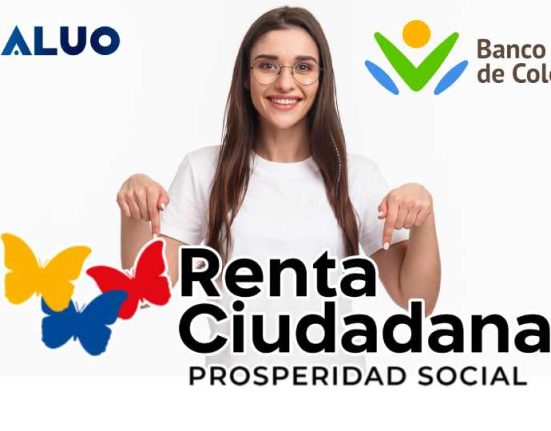 Renta ciudadana