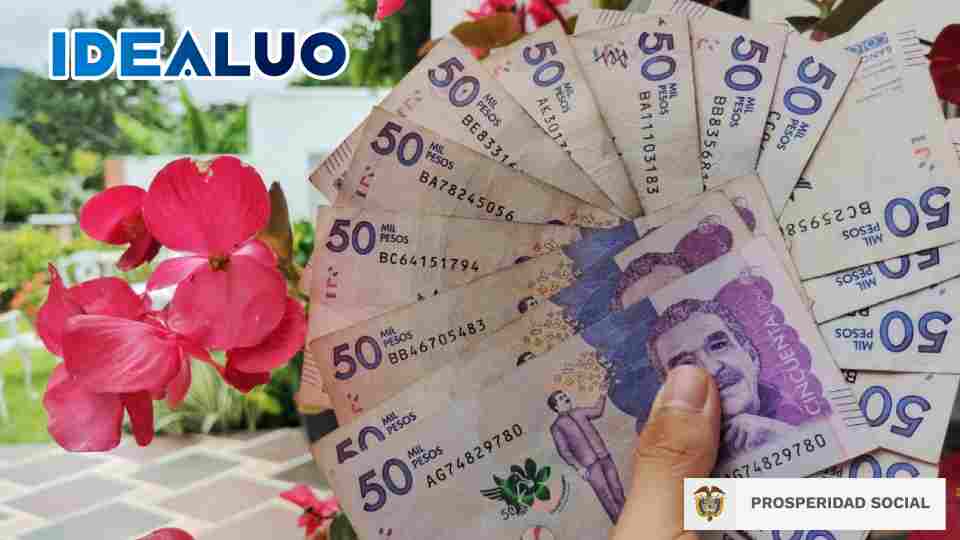 devolución del IVA