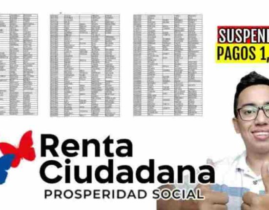 renta ciudadana