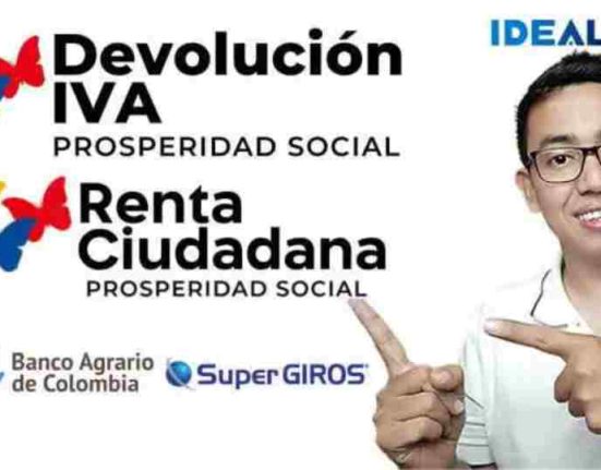 renta ciudadana