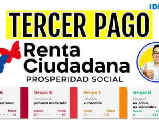 renta ciudadana