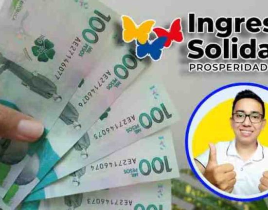 Ingreso solidario