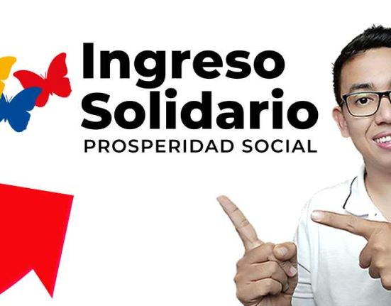 Ingreso solidario