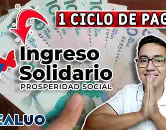 Ingreso solidario