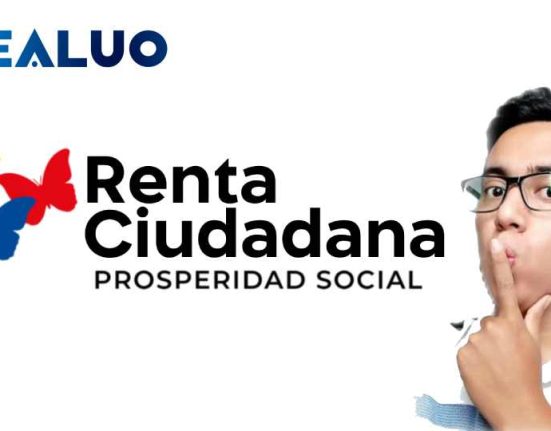 Renta ciudadana