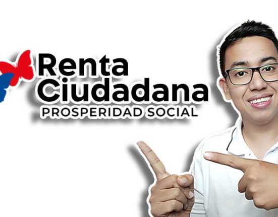 Renta ciudadana