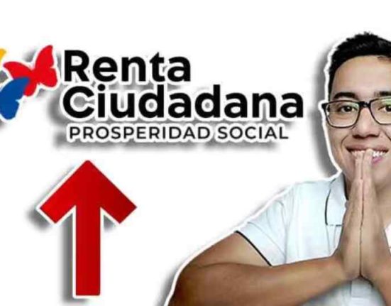 Renta ciudadana