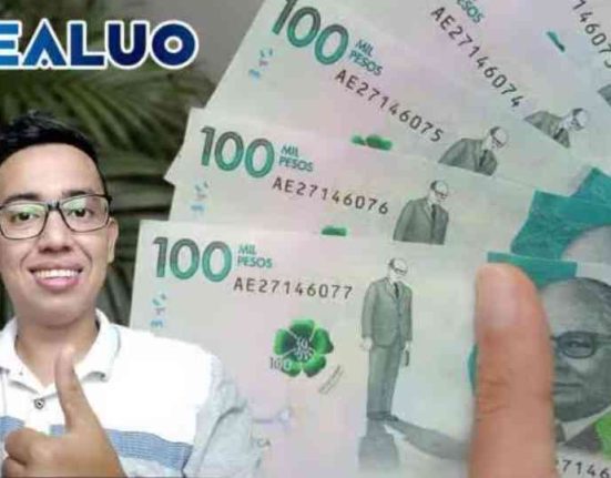 apoyo económico