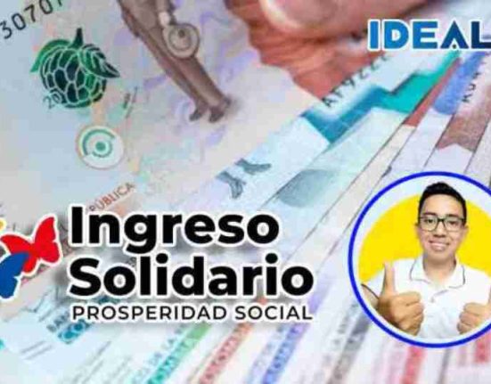 consulta ingreso