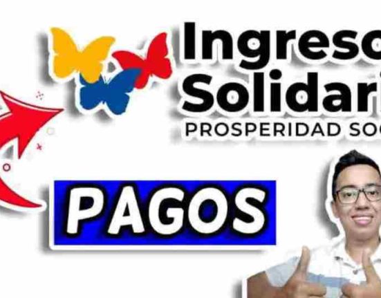 ingreso solidario