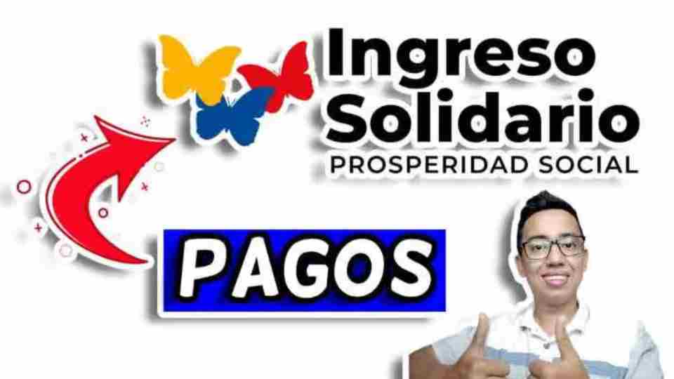 ingreso solidario