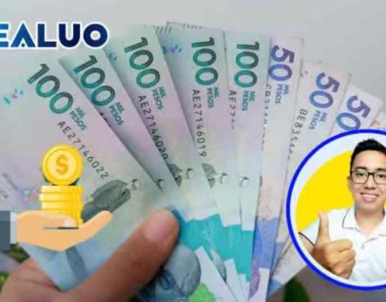 ingreso solidario