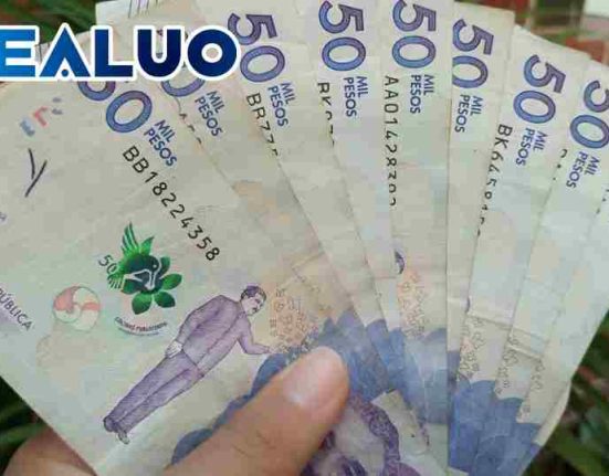 ingreso solidario