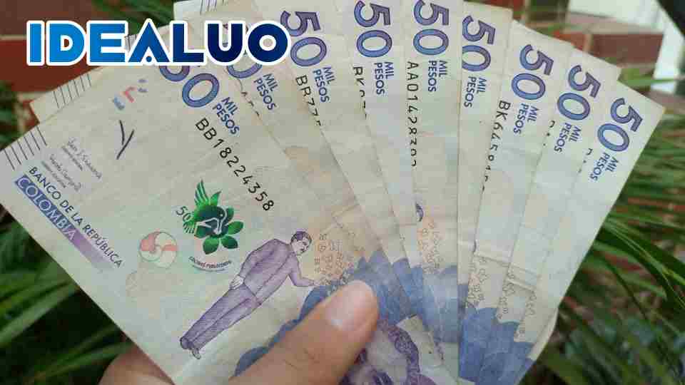 ingreso solidario