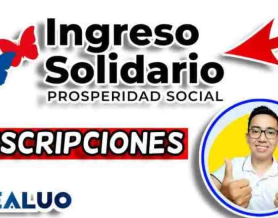 ingreso solidario