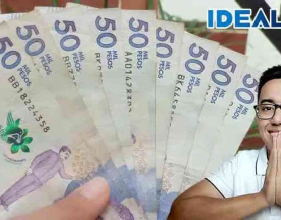 jefes y jefas de hogar