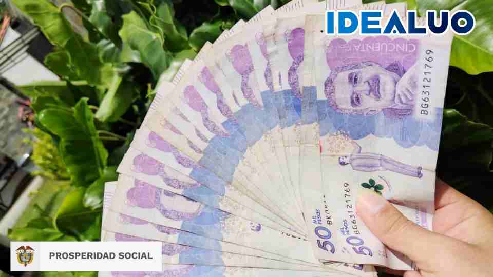 nuevos beneficiarios