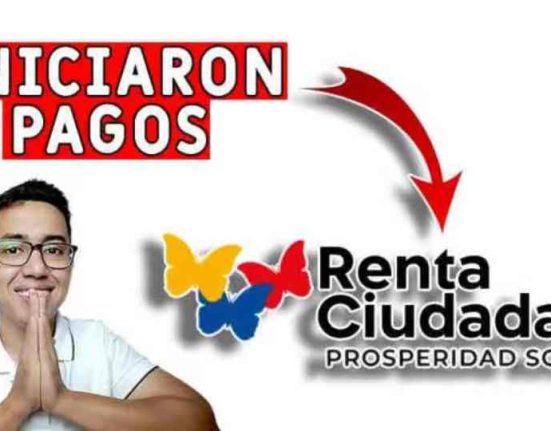 renta ciudadana