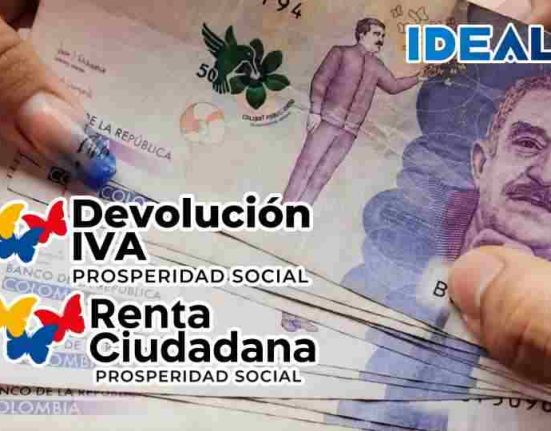 renta ciudadana
