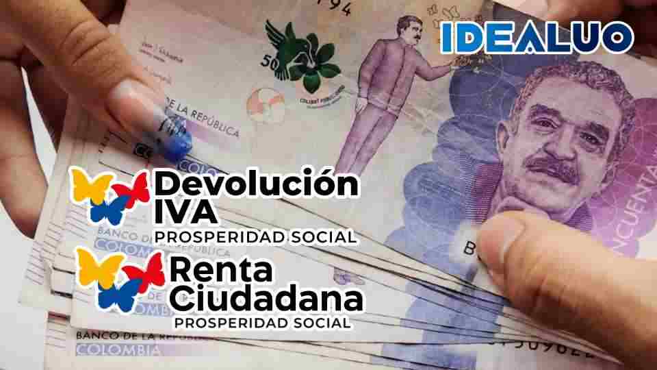 renta ciudadana