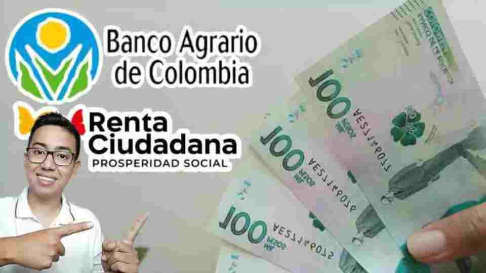 renta ciudadana