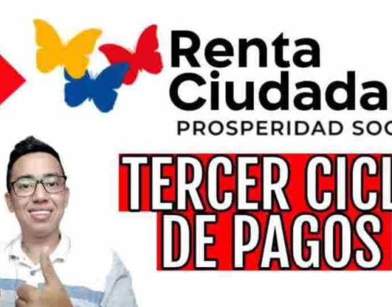 renta ciudadana