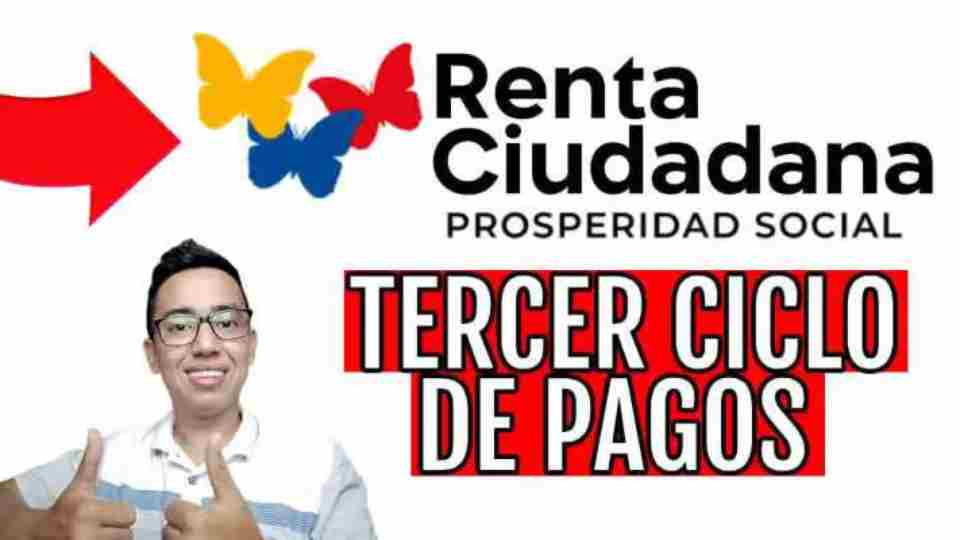 renta ciudadana
