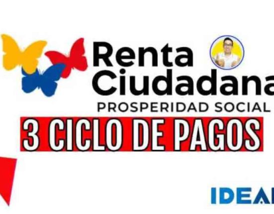 renta ciudadana