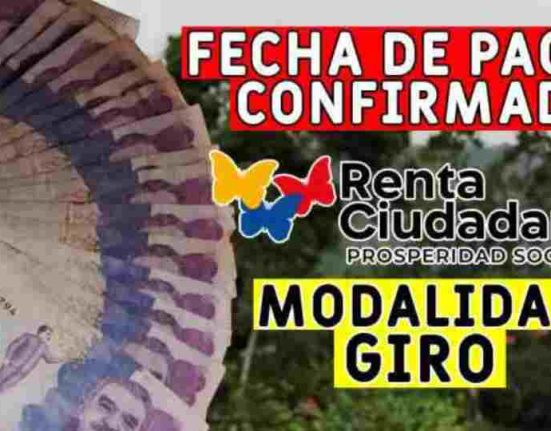 renta ciudadana