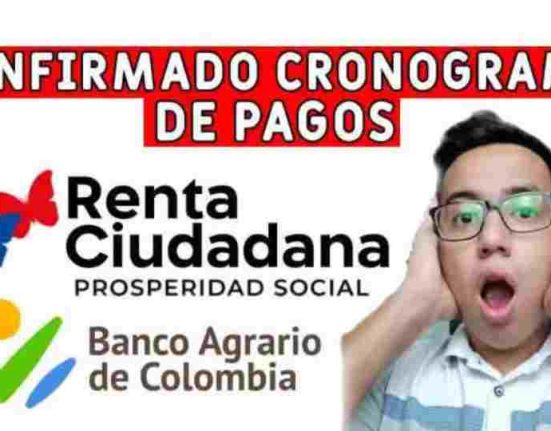 renta ciudadana