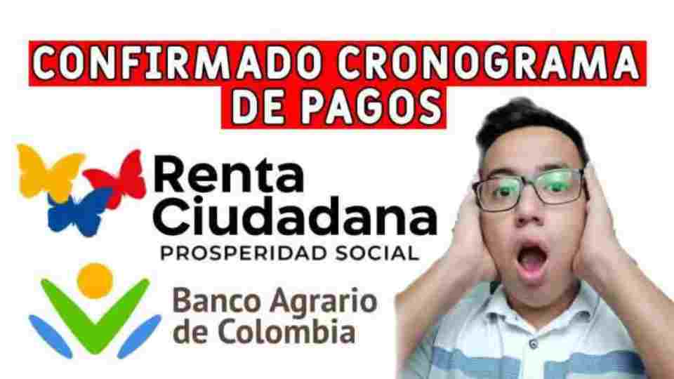renta ciudadana