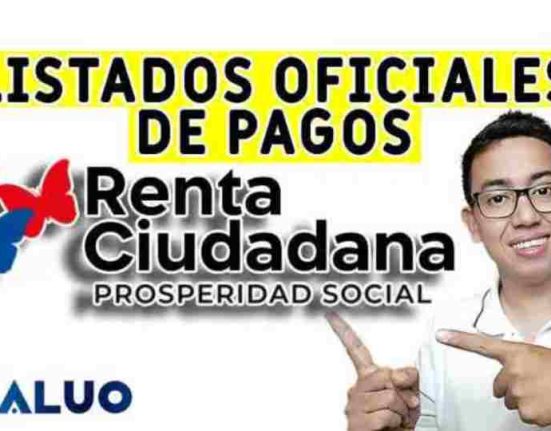 renta ciudadana