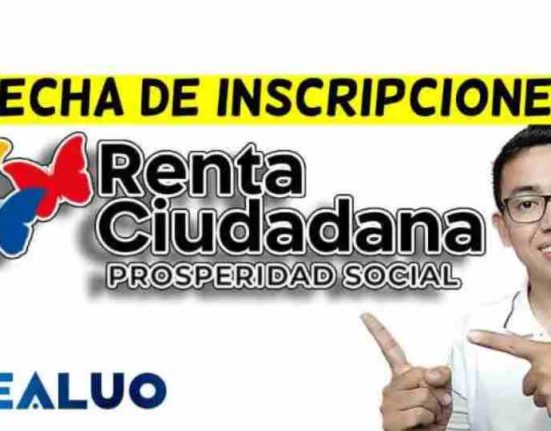 renta ciudadana