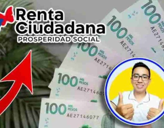 renta ciudadana