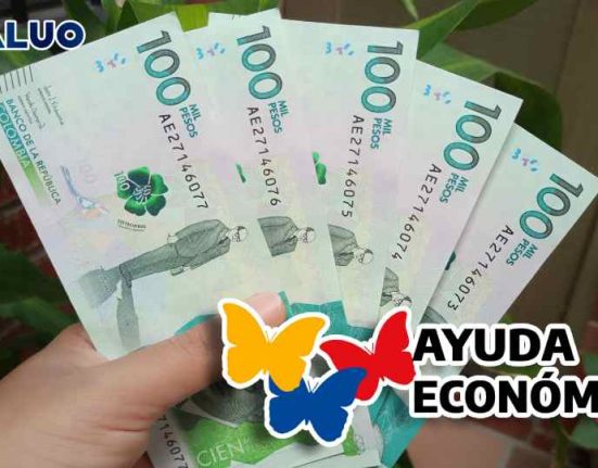 Ayuda económica idealuo.com