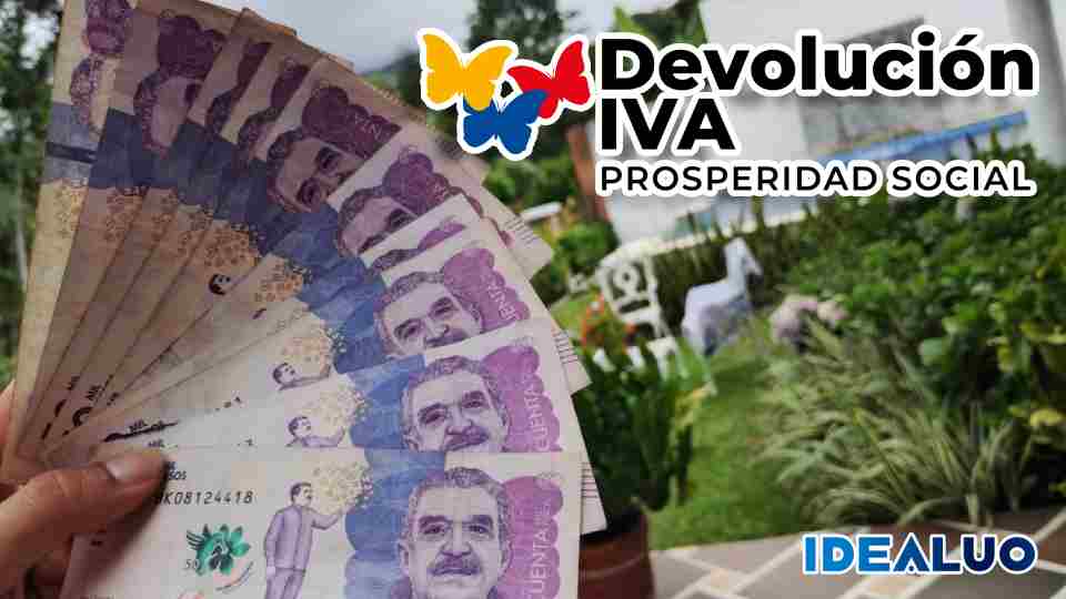 Consulta tu giro