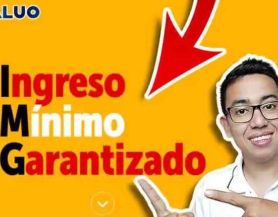 Ingreso mínimo garantizado