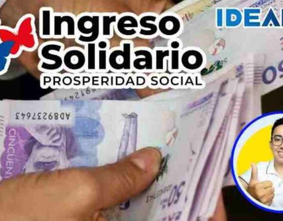 Ingreso solidario