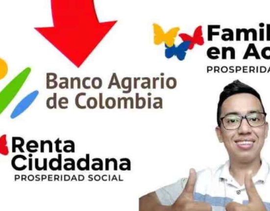 Renta ciudadana