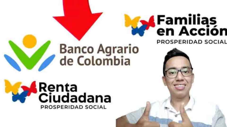 Renta ciudadana