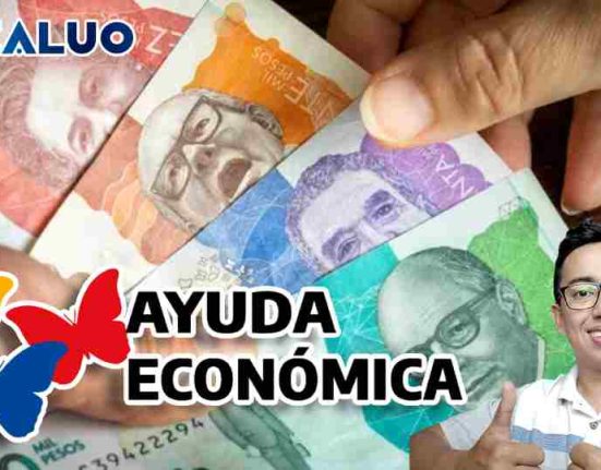 consulta ayuda económica idealuo.com