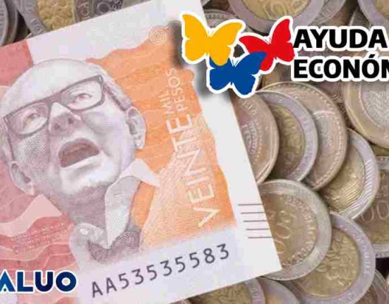 ayuda económica listados idealuo.com