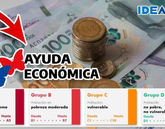 ayuda económica renta ciudadana idealuo.com