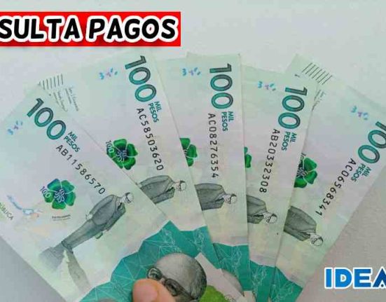 subsidio Ingreso mínimo garantizado idealuo.com