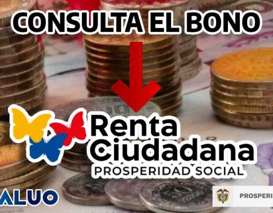 Consulta Renta ciudadana idealuo.com